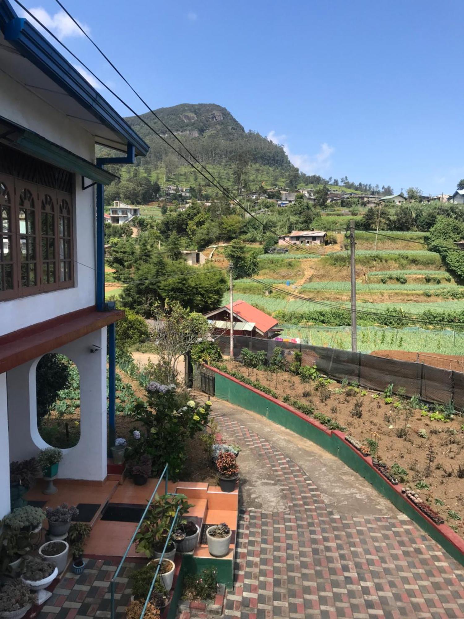 Aurora Residence 努沃勒埃利耶 外观 照片